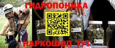 ГАЛЛЮЦИНОГЕННЫЕ ГРИБЫ Краснодар