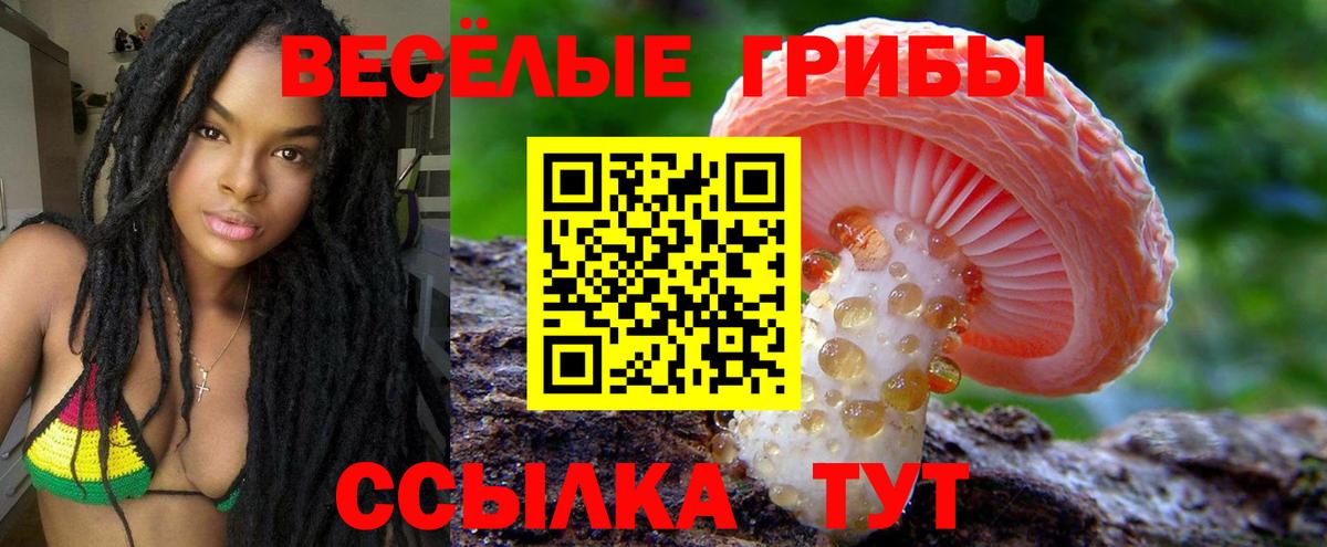 Кондопога  Псилоцибиновые грибы Psilocybine cubensis  Псилоцибиновые грибы MAGIC MUSHROOMS  Вход с VPN 